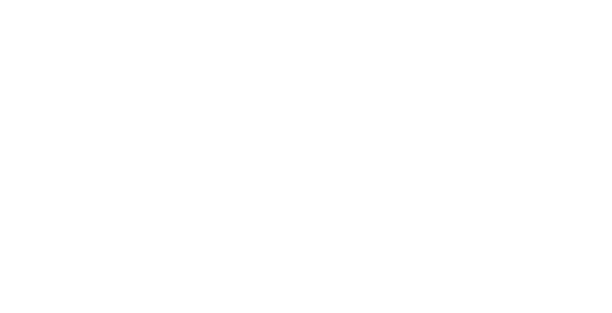 Logo - Vialis